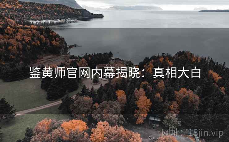 鉴黄师官网内幕揭晓：真相大白