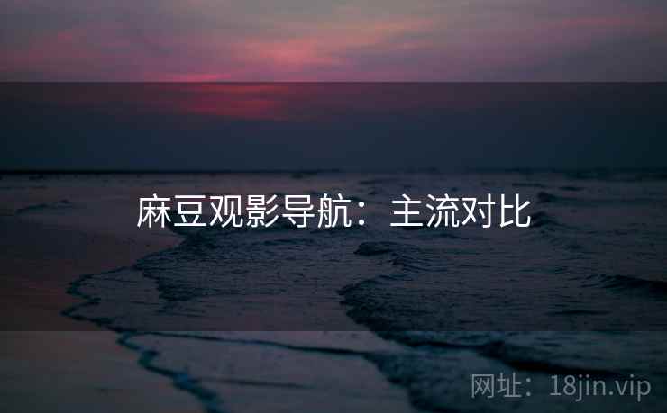 麻豆观影导航：主流对比