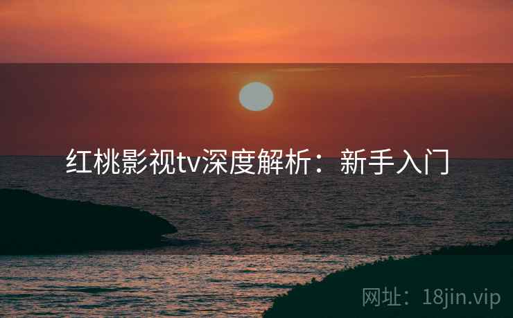 红桃影视tv深度解析：新手入门