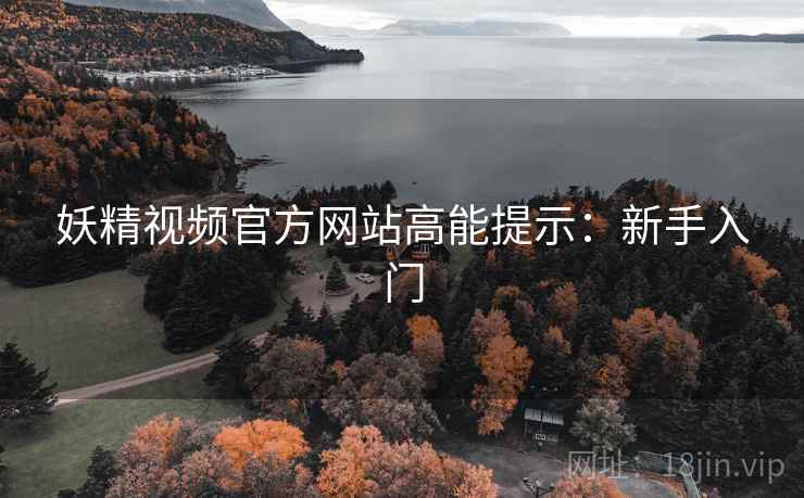 妖精视频官方网站高能提示：新手入门