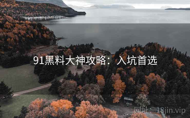 91黑料大神攻略：入坑首选