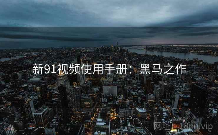 新91视频使用手册：黑马之作