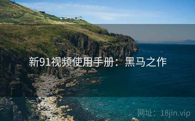 新91视频使用手册：黑马之作