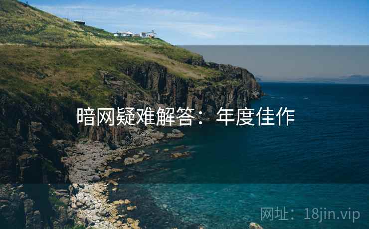 暗网疑难解答：年度佳作