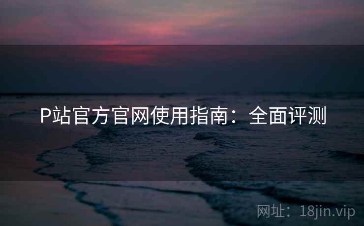 P站官方官网使用指南：全面评测